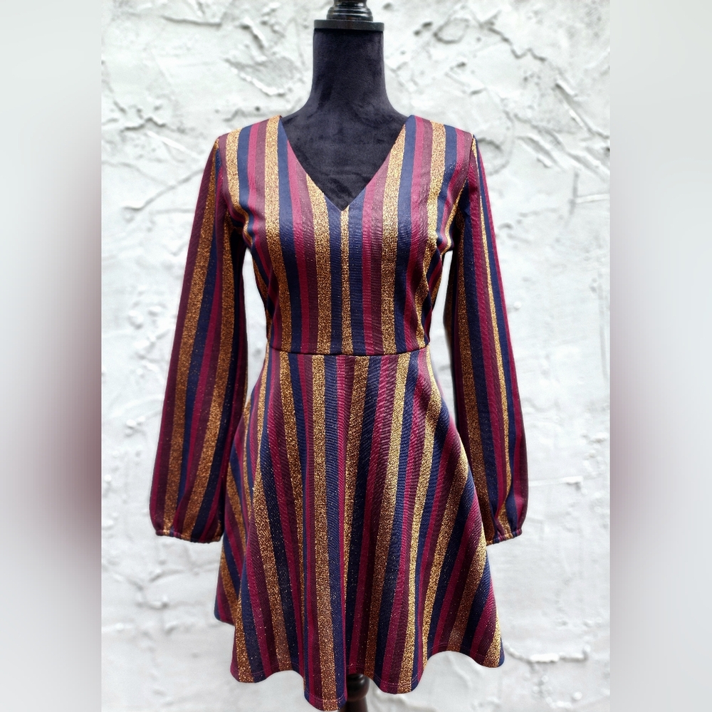 Striped Multi Colored Long Sleeved Skater Dress